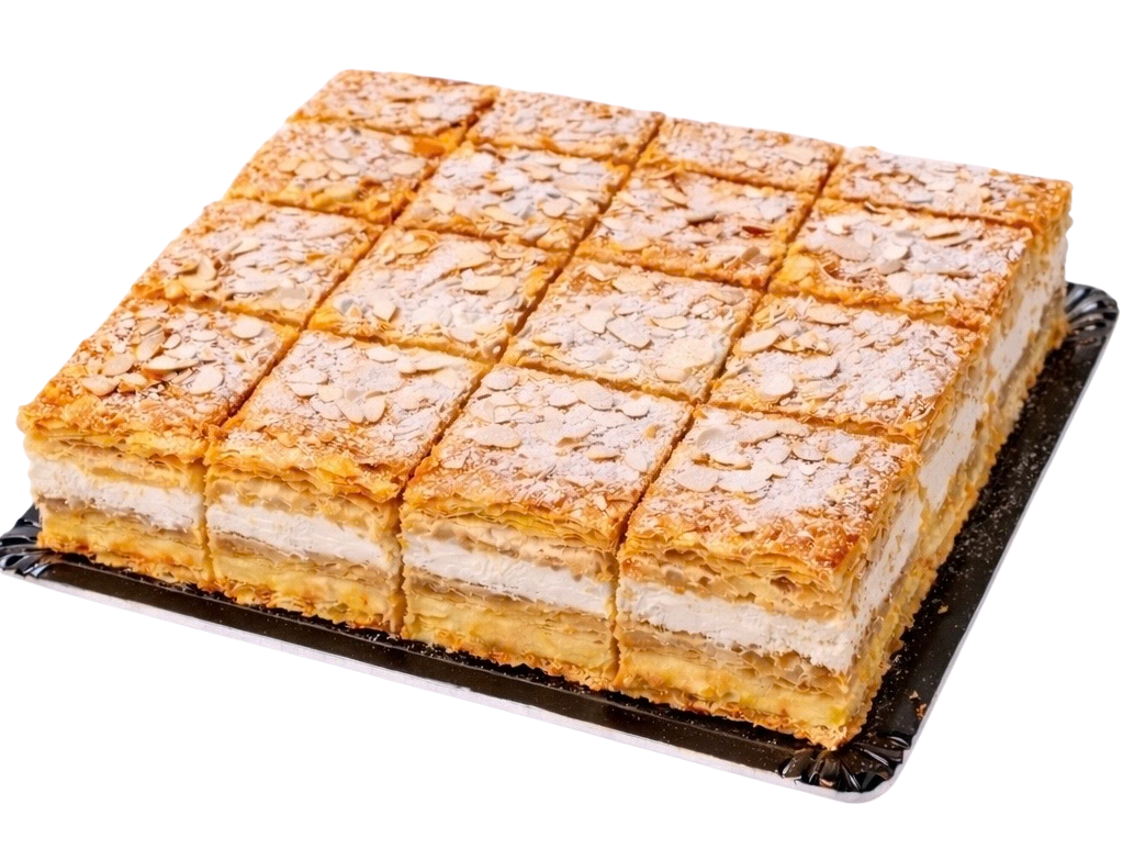 Diseño sin título - 2026-03-10T144125.188